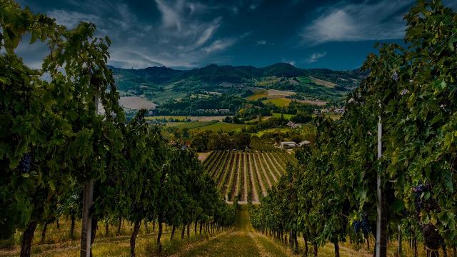 OutdoorValdaso: primo incontro dedicato agli operatori turistici organizzato da GAL Fermano e GAL Piceno