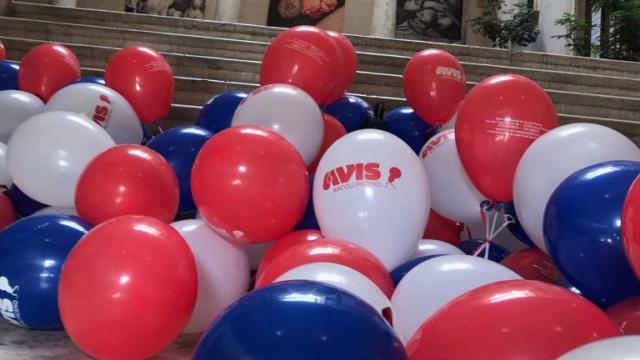 Ascoli Piceno, l'Avis si prepara alla Giornata Mondiale del Donatore: tutte le iniziative previste nel mese di Giugno
