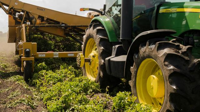 Protesta agricoltori: Cia provinciale vicina a propri associati. Tra le richieste tutela del reddito agricolo
