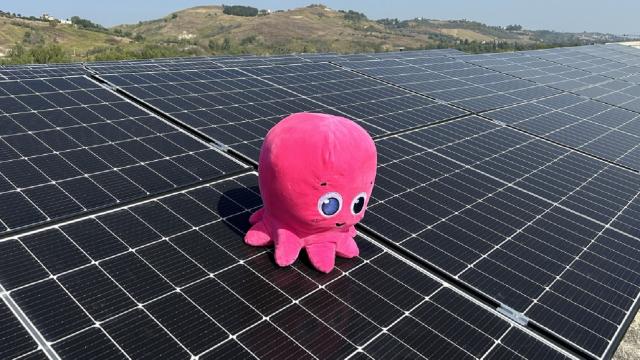Ascoli Piceno: Octopus Energy lancia Solar Club, la sua prima comunità energetica rinnovabile