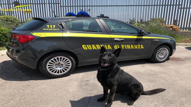 Guardia di Finanza Fermo: sottratti 7mila euro ed un chilo di droga a spacciatori