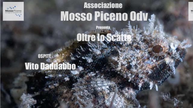 A Centobuchi di Monteprandone nuovo appuntamento di ''Oltre lo scatto'': ospite della serata Vito D'Addabbo