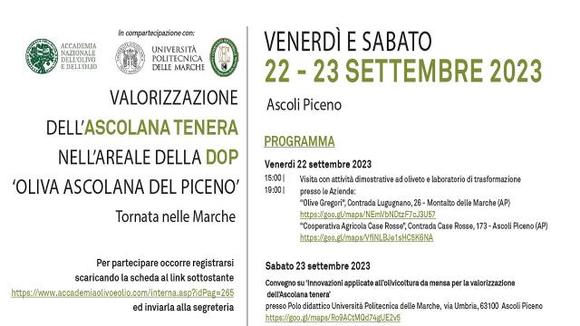 Marche, valorizzazione dell'ascolana tenera nell'areale della Dop 