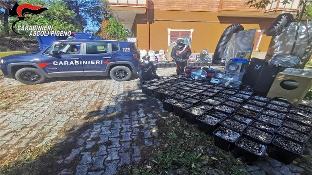 Arresti ad Ascoli ed Alba Adriatica, disarticolata organizzazione dedita a produzione stupefacenti
