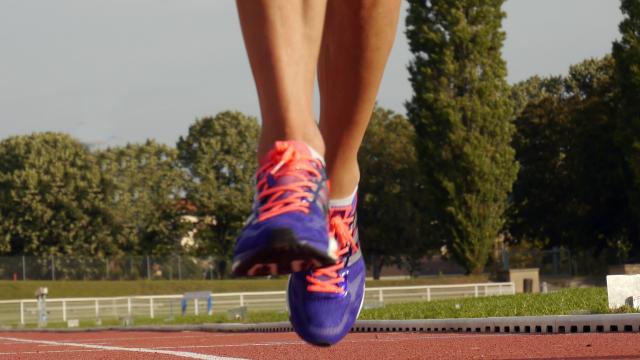 Regione Marche, incentivi al merito sportivo per i giovani atleti non professionisti 