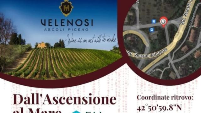 'Dall’Ascensione al mare', da Velenosi la seconda tappa del progetto FAI Giovani Ascoli Piceno