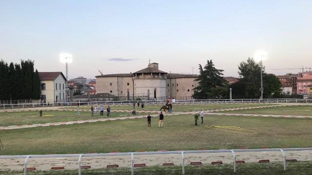Quintana di Ascoli 2022, prove ufficiali: le risposte dei binomi in pista. Innocenzi si rialza e vince il Niballo