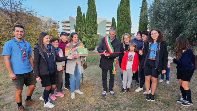 Grottammare, Giornata mondiale della gentilezza: frasi per la scalinata della scuola e ciliegio nel Parco I Maggio