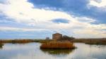San Benedetto del Tronto, Riserva Naturale Sentina: ultimo appuntamento con le visite guidate 
