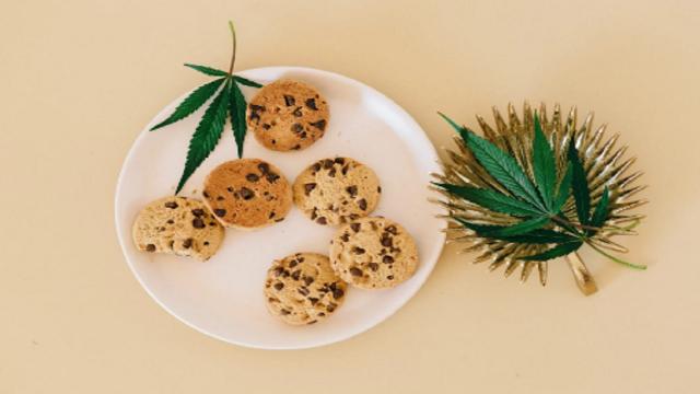 Come integrare il CBD nella tua dieta quotidiana