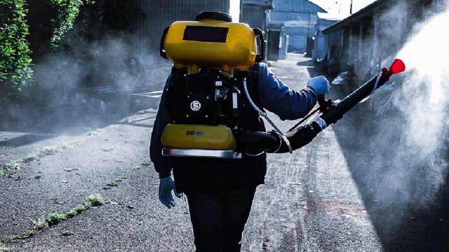 Grottammare: insetti alati, nuovo intervento di disinfestazione 