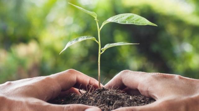 Giovani, zootecnica, agricoltura integrata, selvatici: Coldiretti spinge sulla Regione, novità importanti in arrivo