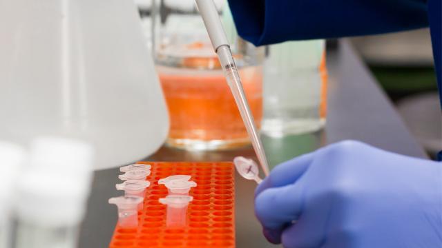 Covid, Istituto Superiore Sanità e Ministero Salute: “Incidenza e Rt ancora in discesa, stabili terapie intensive”