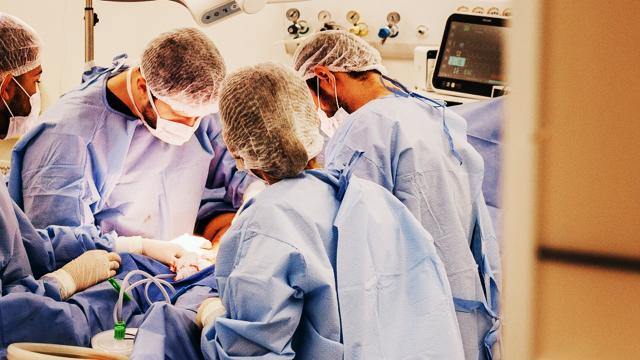Regione Marche, nel 2022 superati 100 trapianti d’organo. Primato nazionale per donatori utilizzati