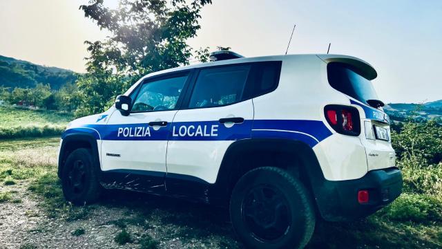 Polizia Provinciale a difesa delle colture cerealicole: numerosi interventi mirati per il controllo degli ungulati