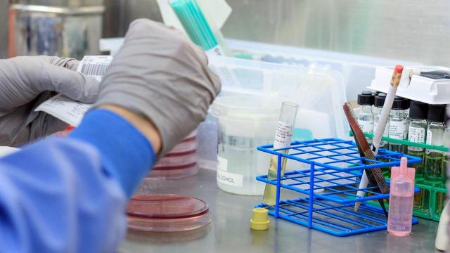 Coronavirus Marche: aggiornamento settimana 31 Marzo-6 Aprile. Tasso incidenza in lieve aumento 