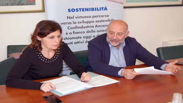 Bandi sulla transizione tecnologica e sul riorientamento dei mercati: la Regione Marche stanzia 17,7 milioni 