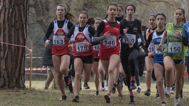 Campionati italiani individuali e per società di corsa campestre, tutti gli atleti marchigiani iscritti