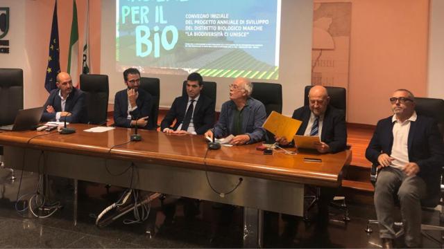 Biologico, Distretto regionale Marche al via: “Ora siamo operativi, l’obiettivo è far crescere il settore”