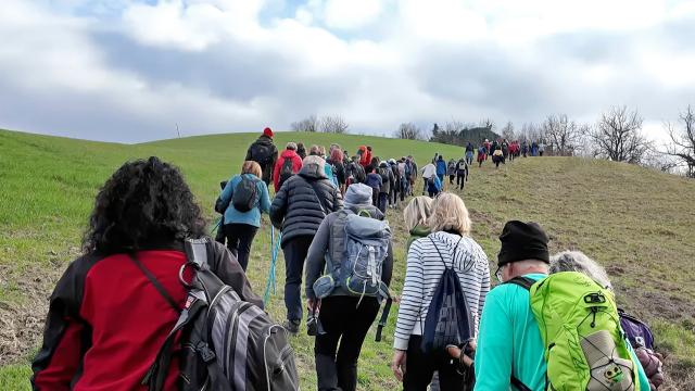Festival dell'Appennino: conclusa con successo l'edizione invernale. Bim Tronto presente all Bit 2025 di Milano