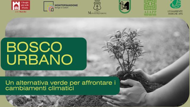 Monteprandone, convegno ''Bosco Urbano: un’alternativa verde per affrontare i cambiamenti climatici''
