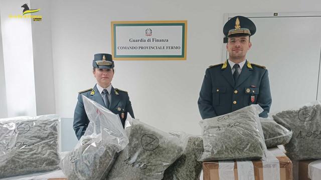 Guardia di Finanza Fermo, sequestro stupefacenti e tre denunce a Porto San'Elpidio