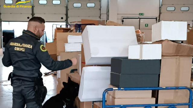 Guardia di Finanza Macerata, operazione antidroga tra Civitanova e il fermano: denunciato ventottenne