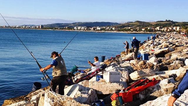 Apsd San Benedetto Colmic: al via l’edizione 2024 del Trofeo 'Riviera delle Palme', gara di pesca con canna da riva