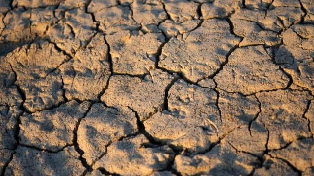 Siccità, Cia Ascoli Piceno: “Servono interventi soprattutto in vista dell’estate”