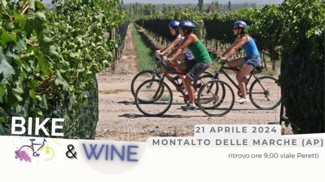 Montalto delle Marche, appuntamento con 'Bike & Wine': evento cicloturistico con degustazioni