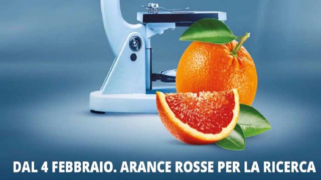 Fondazione Airc, Gruppo Gabrielli sostiene iniziativa ''Le Arance della Salute''