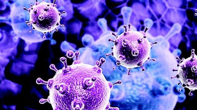 Epatite C, da Luglio anche nelle Marche al via lo screening gratuito per le persone nate tra il 1969 e il 1989 