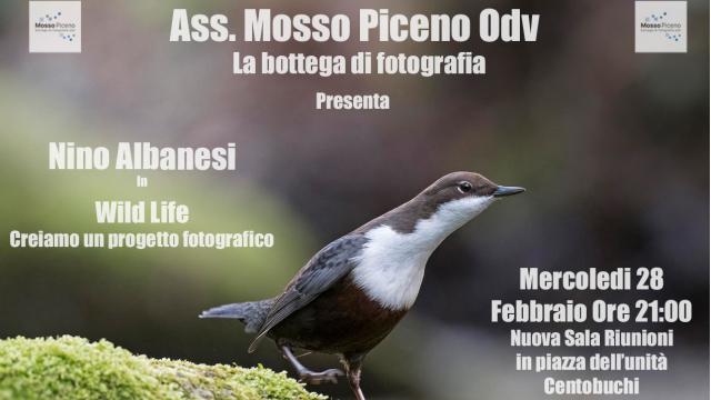 Monteprandone, Associazione Mosso Piceno: appuntamento con Nino Albanesi fotografo di Venarotta