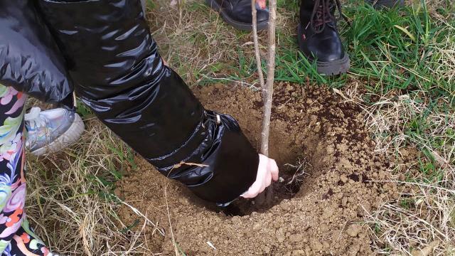 Progetto Natù e Neroni Group, alla 'Don Giussani' di Ascoli Piceno incontro formativo e messa a dimora di 100 alberi