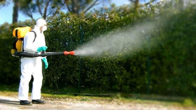 Ascoli Piceno, il calendario degli interventi di disinfestazione nell'ultima settimana di Agosto