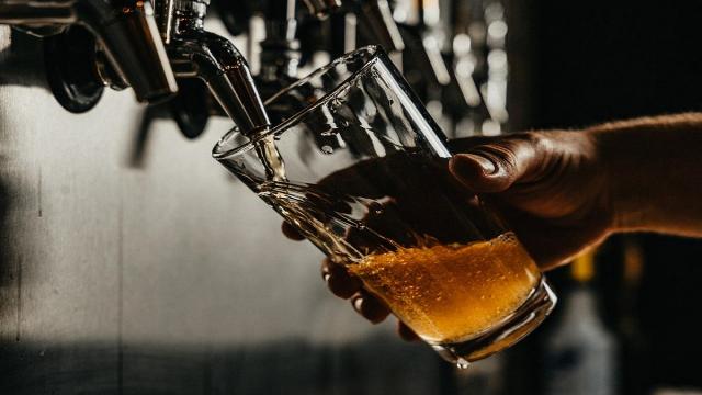 Enoturismo delle Marche: ''Dalla Vigna alla Tavola'', le birre incontrano le eccellenze del territorio