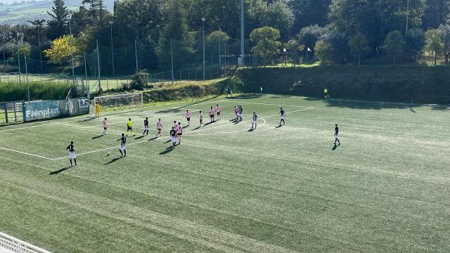 Ascoli Calcio, la Primavera ospita il Frosinone capolista. Trasferte per Under 17, 16, 15 e 14