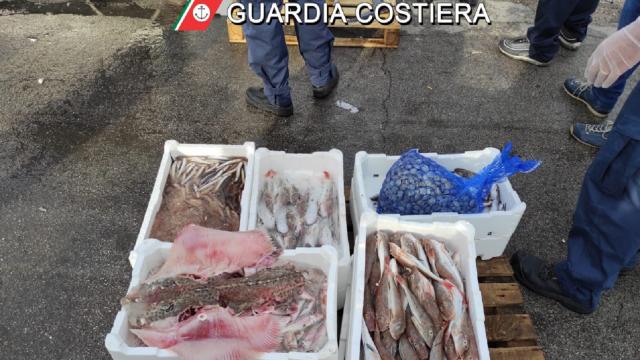Guardia Costiera: ''Operazione Atlantide'', sanzioni e sequestri anche a San Benedetto
