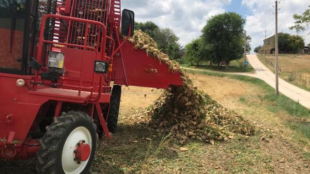 Coldiretti Marche, faccia a faccia con Amap per difendere gli agricoltori e promuovere semplificazioni normative