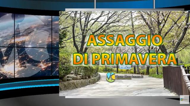 Meteo, la situazione ad Ascoli Piceno e nelle Marche per il fine settimana