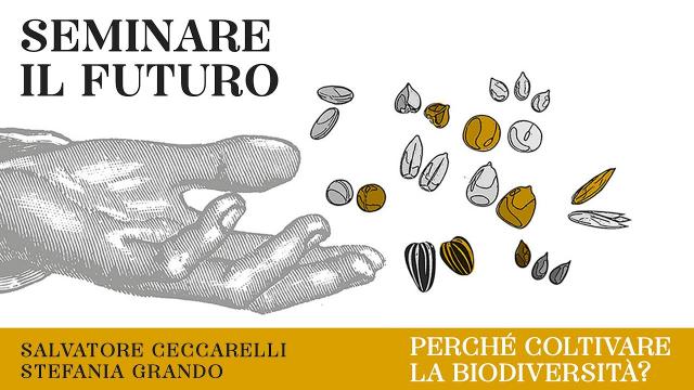 Ascoli Piceno, appuntamento con l'iniziativa 'Dal seme alla tavola' allestito dall'Avis a Palazzo dei Capitani