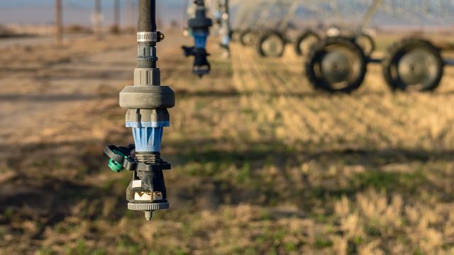 Coldiretti Marche, Giornata dell’Acqua: “Accelerare su Piano Laghetti e ammodernamento della rete idrica” 