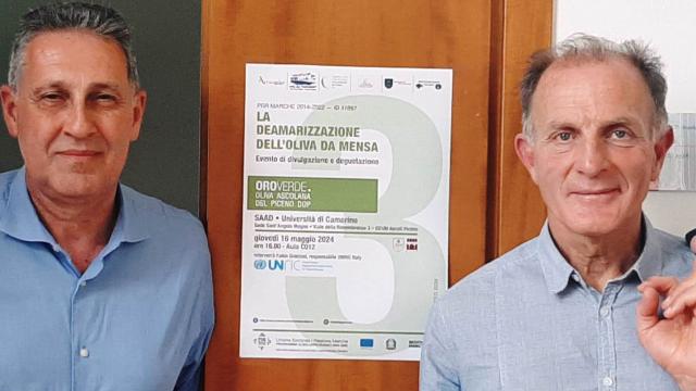 UNICAM ed ONU insieme per la sostenibilità della filiera olivicola del Piceno 