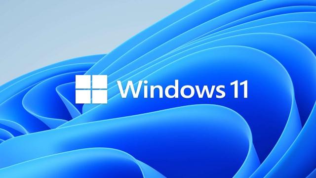 Più della metà degli utenti prevede di eseguire l'aggiornamento a Windows 11