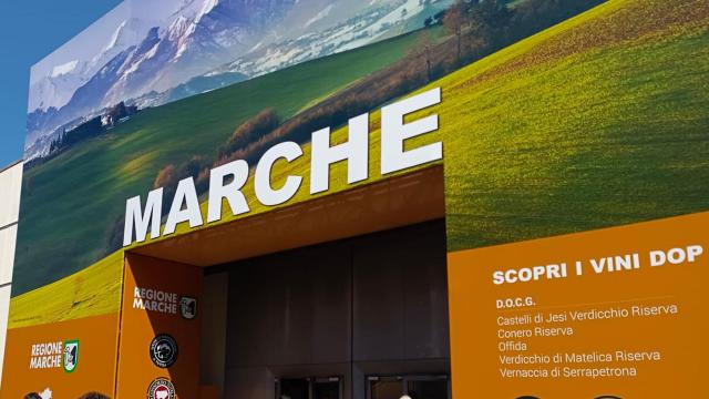 Vini Piceni: Vinitaly ricco di spunti e conferme. Riflettori accesi su biologico, varietà autoctone e vitigni resistenti