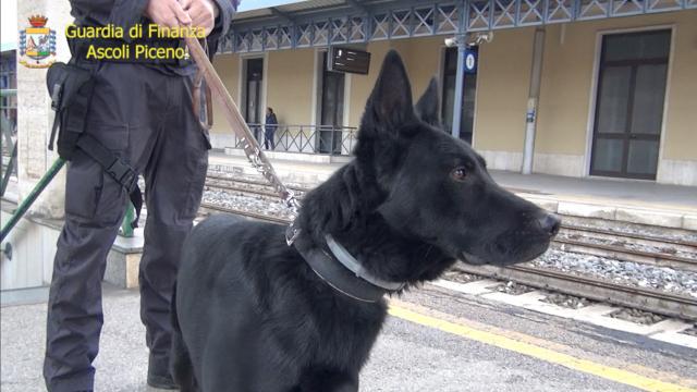 Guardia di Finanza Ascoli Piceno, intensificati i controlli in Riviera nelle settimane più calde