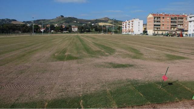 San Benedetto del Tronto, realizzazione nuova tribuna al campo sportivo 'Nelson Mandela': approvato progetto