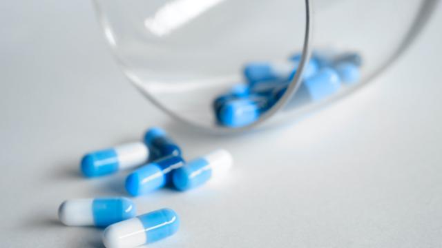 Settimana di sensibilizzazione all’antibiotico-resistenza: tante le iniziative nelle Marche 