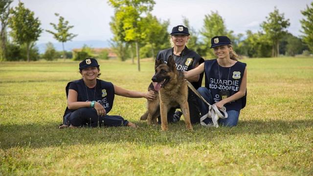 Marche, aperte le iscrizioni al corso per guardie zoofile