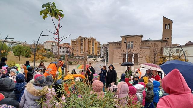 Grottammare: ''Festa degli Alberi'', la città celebra il 21 Novembre